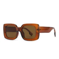 Classic Luxury Brand Designer Big Frame Square Sunglasses - Image 10