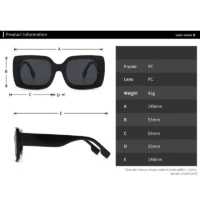 Classic Luxury Brand Designer Big Frame Square Sunglasses - Image 4
